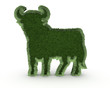 toro verde