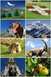 savoie - haute savoie