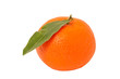 Fresh oranges Isolated on white background Fresh oranges Isolated on white background