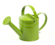 arrosoir laqué vert