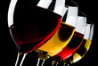 vino argentino