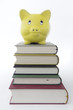 Sparschwein auf Bücherstapel