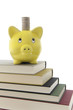 Sparschwein auf Bücherstapel