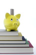 Sparschwein auf Bücherstapel