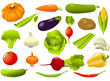 Set of vegetables Set of vegetables