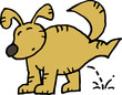 dog  piss