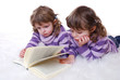 Zwillinge lesen Buch