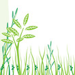 Sapling