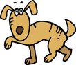 surprised dog