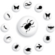 Set buttons - 145_B. Insects