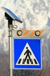 Zebra crossing