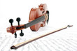 Violine close-up