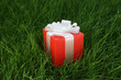 Photo en ligne au meilleur prix Gift box on a grass