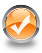 validation icon on orange button