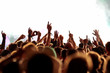 Jubelnde Konzertbesucher auf Rock-Konzert