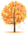 Vector: autumn tree autumn tree