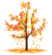 Vector: autumn tree leaves falling autumn tree leaves falling