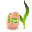 Bio Ei 1