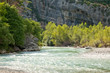 Provence076