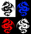 Dragon, tribal tattoo