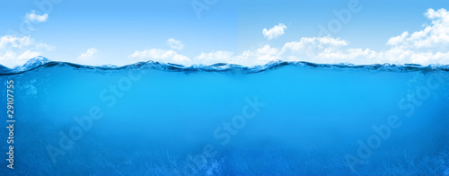 Photo: underwater scene underwater scene