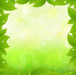 Spring Leaves Spring Leaves