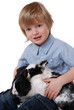 Foto: Junge mit Kaninchen Junge mit Kaninchen