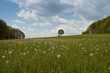 Ökolandschaft mit großer Wiese
