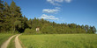 Naturpanorama Waldweg