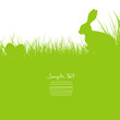 Bunny Sitting In The Meadow & Eggs Background