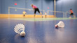badminton - badminton courts with players competing; shuttlecock