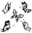 Set  black white butterflies of a tattoo