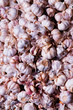 Foto: Knoblauch Knoblauch