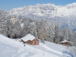 Winter in alps