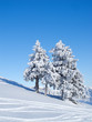Winter in the alps