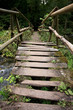 old bridge in the black forest