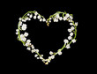 Heart of lillies