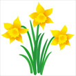 Osterglocken, Ostern, Illustration, Vektorgrafik, freigestellt