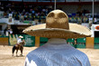 mexican sombrero