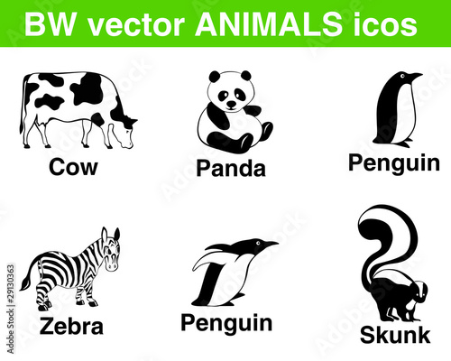 Vektor: 6 vector animals: panda, cow, penguins, zebra, skunk. 6 vector animals: panda, cow, penguins, zebra, skunk.