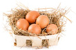 Macro shoot of brown eggs in wooden basket at hay. Shallow depth Macro shoot of brown eggs in wooden basket at hay. Shallow depth