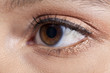 weibliches Auge