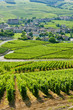 vineyards near Fuisse, Burgundy, France vineyards near Fuisse, Burgundy, France