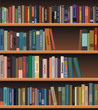 vector wooden bookshelf with books vector wooden bookshelf with books