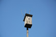 Birdhouse in the spring Birdhouse in the spring