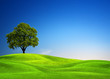 Green nature