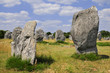 Alignement de menhirs à Carnac dans le Morbihan en France Alignement de menhirs à Carnac dans le Morbihan en France