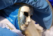 carnevale di venezia carnevale di venezia