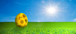 Colorful easter egg on spring landscape