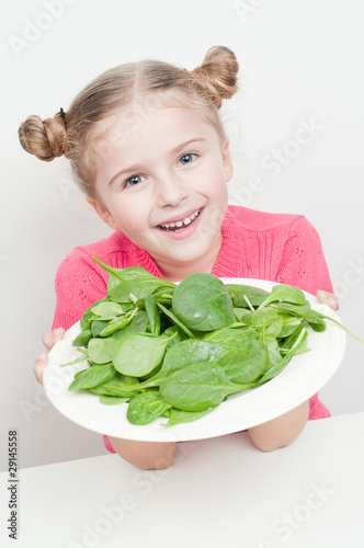 Healthy+food+plate+model